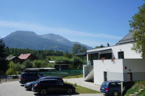Pensiunea Cascada Borşa